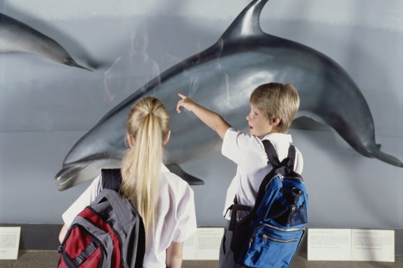 Zwei Kinder betrachten einen Delfin in einem Museum.