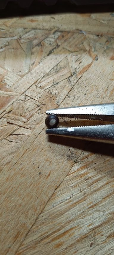 Metallische Zange mit einem kleinen, runden Objekt an der Spitze, auf Holzuntergrund.