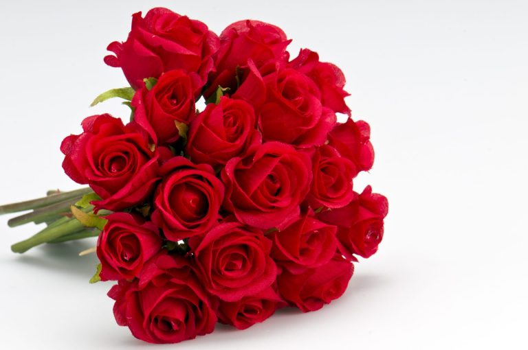 Ein Strauß roter Rosen auf hellem Hintergrund.
