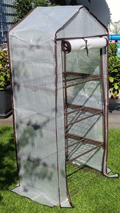 Ein transparenter Pflanzenzelt mit Regalen und einer rollbaren oberen Abdeckung.