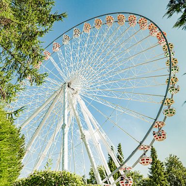 Riesenrad mit bunten Gondeln vor blauem Himmel und grünen Bäumen.