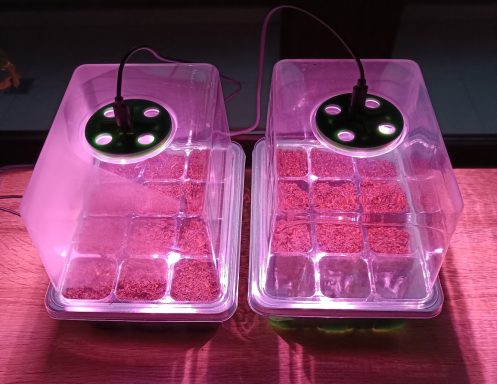 Zwei Pflanzbehälter mit LED-Beleuchtung und Bewässerungssystem.