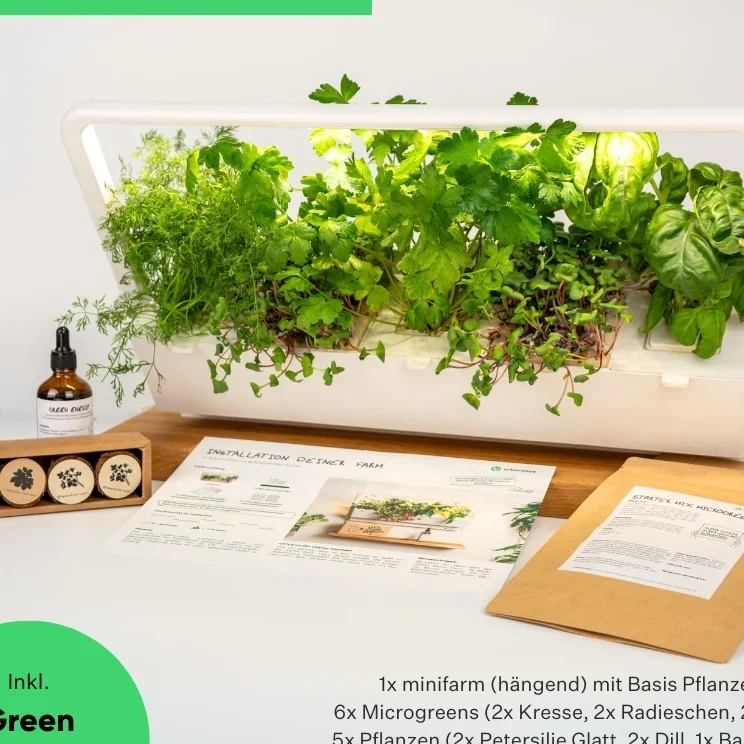 Indoor-Kräutergarten mit verschiedenen Pflanzen und Zubehör auf einem Holzuntergrund.